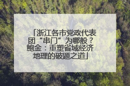 浙江各市党政代表团“串门”为哪般？鲍金：重塑省域经济地理的破题之道