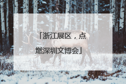 浙江展区，点燃深圳文博会
