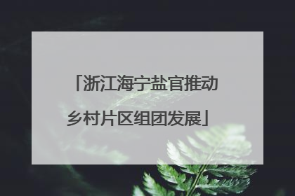 浙江海宁盐官推动乡村片区组团发展