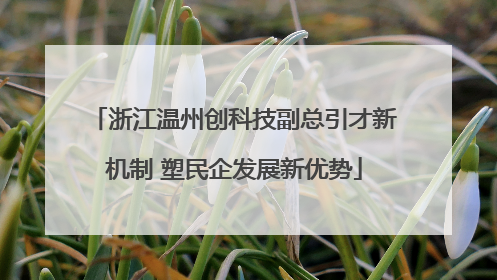 浙江温州创科技副总引才新机制 塑民企发展新优势