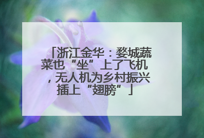 浙江金华：婺城蔬菜也“坐”上了飞机，无人机为乡村振兴插上“翅膀”