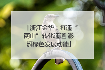 浙江金华：打通“两山”转化通道 澎湃绿色发展动能