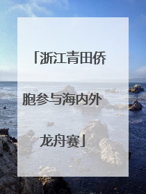 浙江青田侨胞参与海内外龙舟赛
