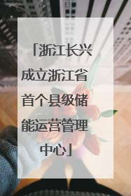 浙江长兴成立浙江省首个县级储能运营管理中心