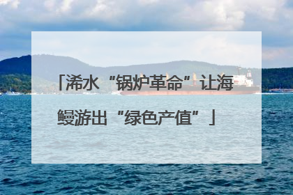 浠水“锅炉革命”让海鳗游出“绿色产值”