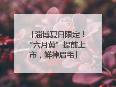淄博夏日限定！“六月黄”提前上市，鲜掉眉毛