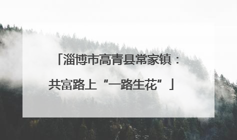 淄博市高青县常家镇：共富路上“一路生花”