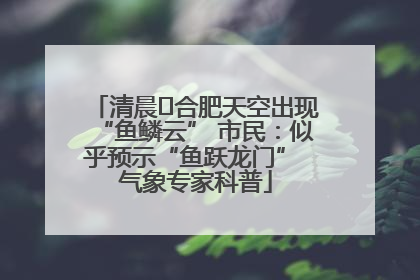 清晨﻿合肥天空出现“鱼鳞云” 市民：似乎预示“鱼跃龙门” 气象专家科普