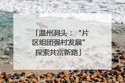 温州洞头：“片区组团强村发展”探索共富新路