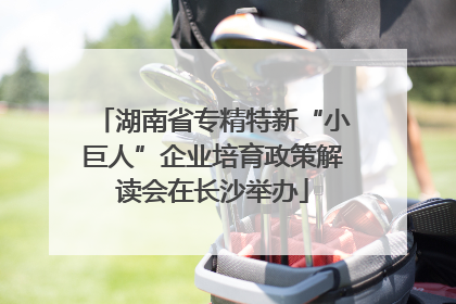 湖南省专精特新“小巨人”企业培育政策解读会在长沙举办