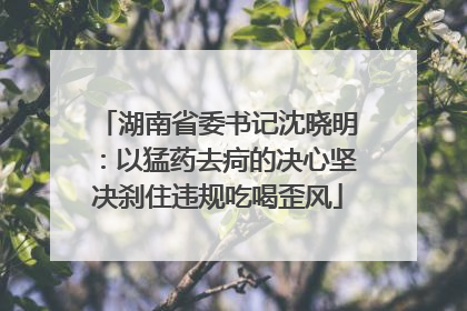 湖南省委书记沈晓明：以猛药去疴的决心坚决刹住违规吃喝歪风