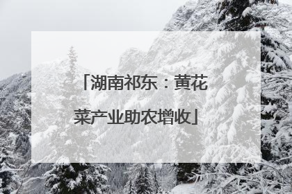 湖南祁东：黄花菜产业助农增收