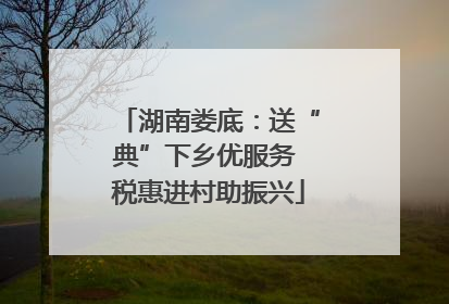 湖南娄底：送“典”下乡优服务 税惠进村助振兴
