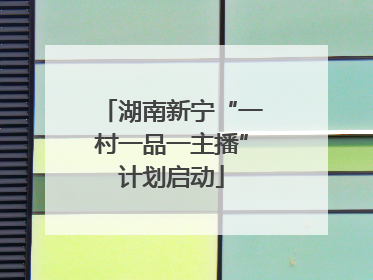 湖南新宁“一村一品一主播”计划启动