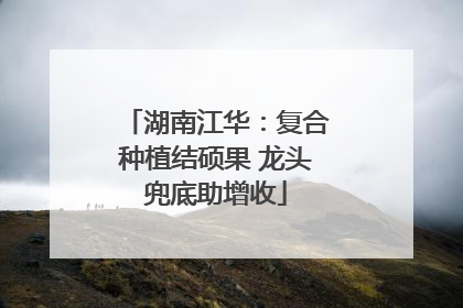 湖南江华：复合种植结硕果 龙头兜底助增收