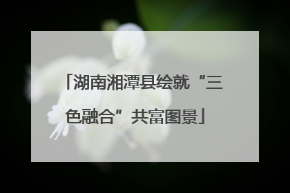 湖南湘潭县绘就“三色融合”共富图景