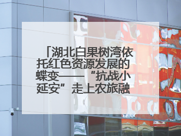 湖北白果树湾依托红色资源发展的蝶变——“抗战小延安”走上农旅融合振兴路