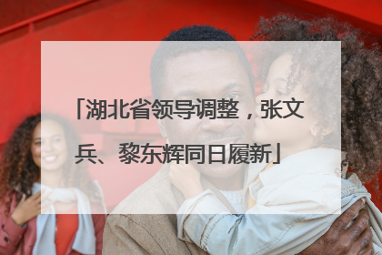湖北省领导调整，张文兵、黎东辉同日履新