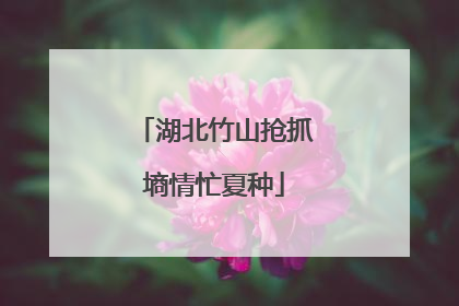 湖北竹山抢抓墒情忙夏种