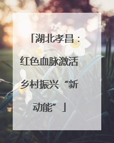 湖北孝昌：红色血脉激活乡村振兴“新动能”