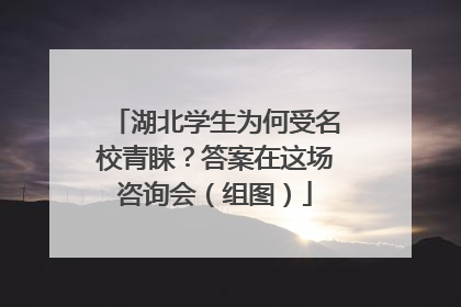 湖北学生为何受名校青睐？答案在这场咨询会（组图）