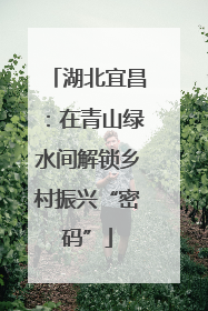 湖北宜昌：在青山绿水间解锁乡村振兴“密码”