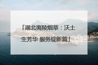 湖北夷陵烟草：沃土生芳华 服务绽新篇