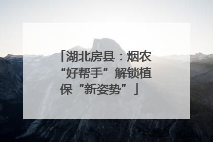 湖北房县：烟农“好帮手”解锁植保“新姿势”
