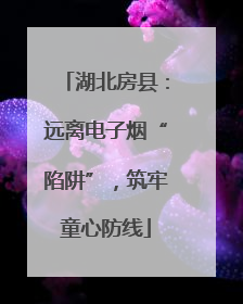 湖北房县：远离电子烟“陷阱”，筑牢童心防线