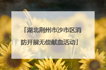 湖北荆州市沙市区消防开展无偿献血活动