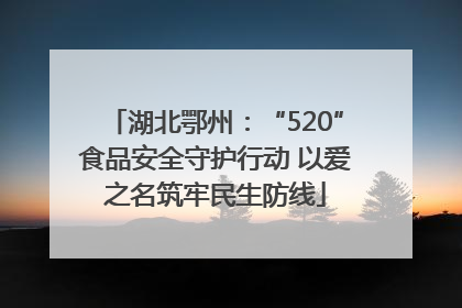 湖北鄂州：“520”食品安全守护行动 以爱之名筑牢民生防线