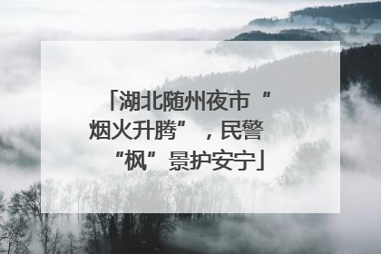 湖北随州夜市“烟火升腾”，民警“枫”景护安宁