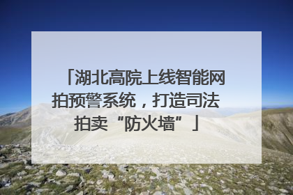 湖北高院上线智能网拍预警系统，打造司法拍卖“防火墙”