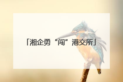 湘企勇“闯”港交所