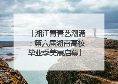 湘江青春艺潮涌：第六届湖南高校毕业季美展启幕