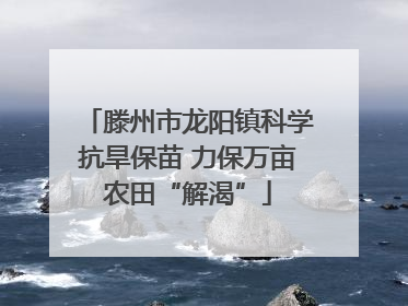 滕州市龙阳镇科学抗旱保苗 力保万亩农田“解渴”