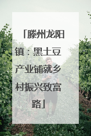 滕州龙阳镇：黑土豆产业铺就乡村振兴致富路