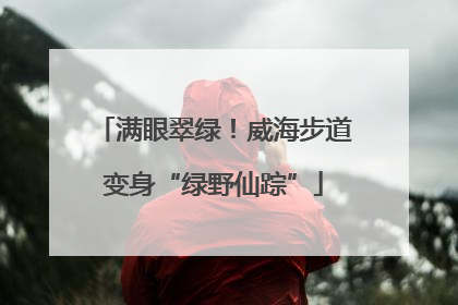 满眼翠绿！威海步道变身“绿野仙踪”