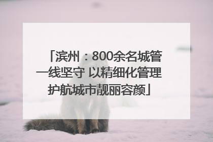 滨州：800余名城管一线坚守 以精细化管理护航城市靓丽容颜