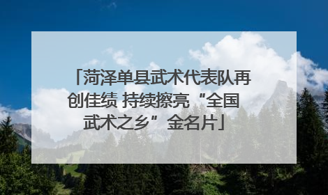 菏泽单县武术代表队再创佳绩 持续擦亮“全国武术之乡”金名片