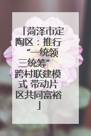 菏泽市定陶区：推行“一统领 三统筹” 跨村联建模式 带动片区共同富裕