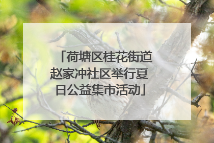 荷塘区桂花街道赵家冲社区举行夏日公益集市活动