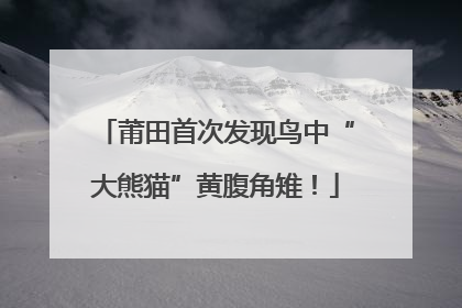 莆田首次发现鸟中“大熊猫”黄腹角雉！