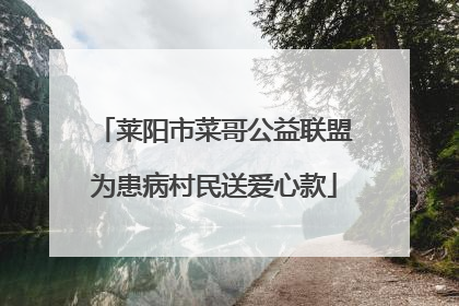 莱阳市菜哥公益联盟为患病村民送爱心款