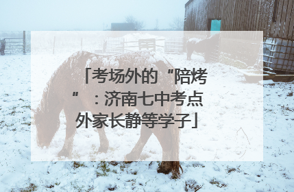 考场外的“陪烤”：济南七中考点外家长静等学子