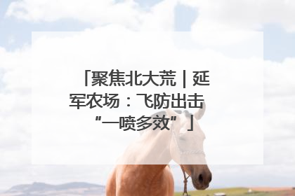 聚焦北大荒｜延军农场：飞防出击 “一喷多效”