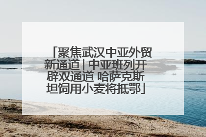聚焦武汉中亚外贸新通道│中亚班列开辟双通道 哈萨克斯坦饲用小麦将抵鄂
