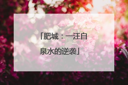 肥城：一汪自泉水的逆袭