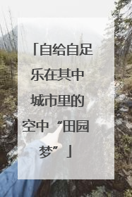 自给自足 乐在其中 城市里的空中“田园梦”