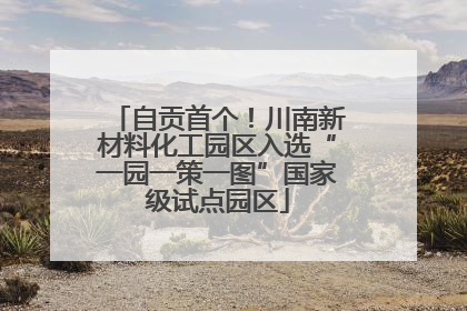 自贡首个！川南新材料化工园区入选“一园一策一图”国家级试点园区
